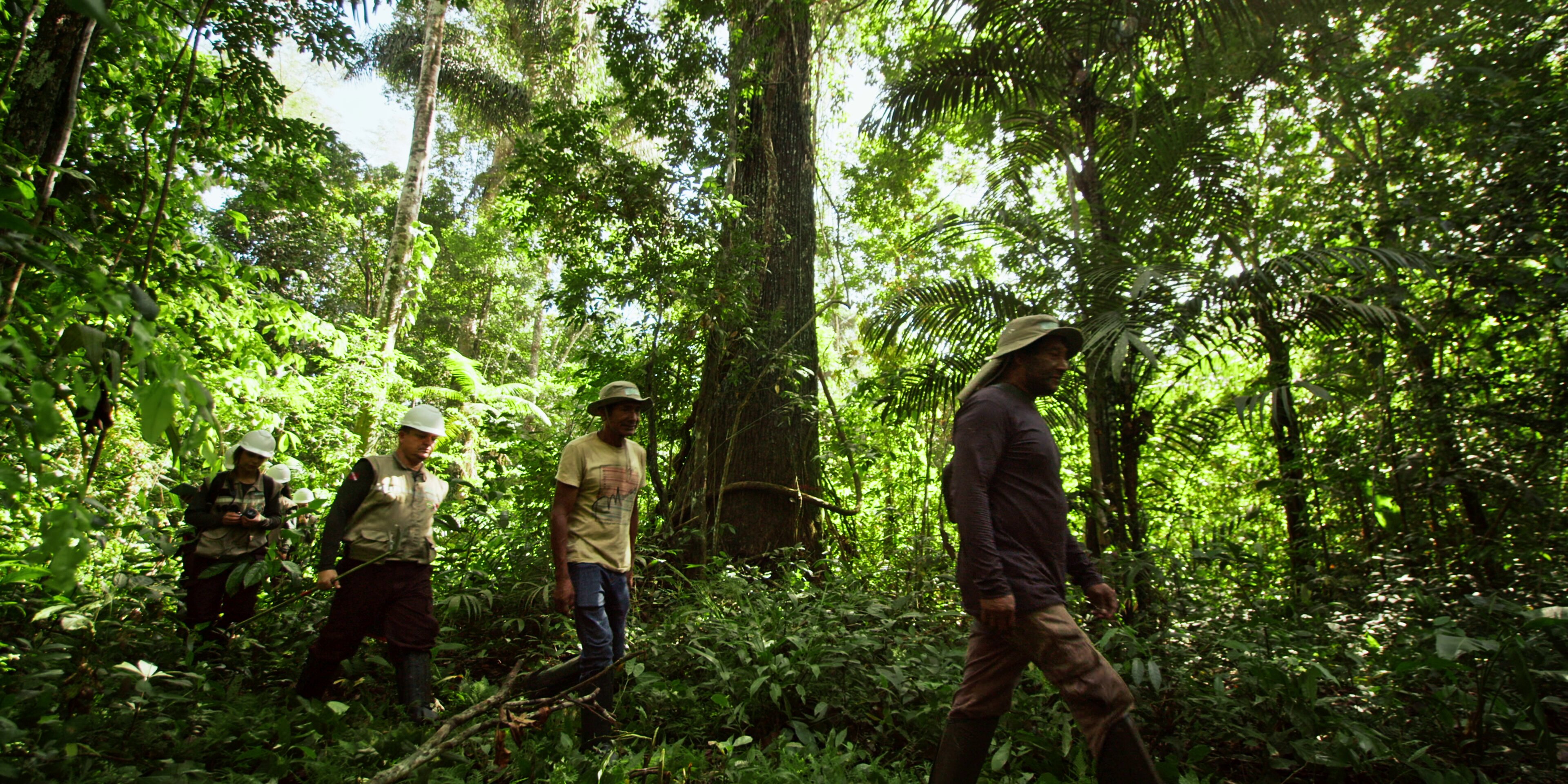 Equipe ACC em campo na floresta amazônica para projeto REDD+